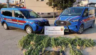 Adıyaman'da uyuşturucu operasyonu : 1,5 kilo esrar ele geçirildi