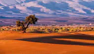 Batı Afrika için iklim krizi uyarısı : 32 milyon kişi yerinden edilebilir