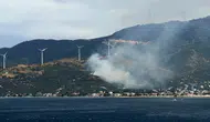 Balıkesir Marmara'da orman yangını çıkaran şüpheli gözaltına alındı