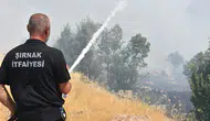 Şırnak'ta otluk alanda çıkan yangın ormana sıçradı