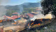 Kastamonu'da samanlık yangını : 14 büyükbaş hayvan telef oldu