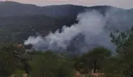 İslahiye-Kilis sınırında orman yangını : 4 dönüm alan zarar gördü