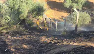 Aydın'da zeytinlik alanda yangın : 2 dönümlük alan zarar gördü