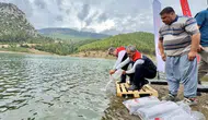 Mersin'de 347 bin yavru sazan suyla buluştu : 9 ilçede balıklandırma çalışması