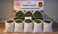 Samsun Bafra'da uyuşturucu operasyonu : 63 kilo kubar esrar ele geçirildi