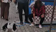 Hatay'da konteyner kentte pala dehşeti: Karısı ve kızı dahil 4 kişiyi yaraladı