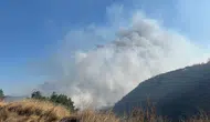 Bilecik’te çöplükte çıkan yangın ormana sıçradı
