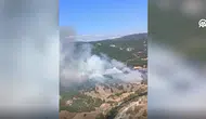 Balıkesir'de orman yangını çıktı