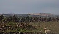 Bashan Öncüleri üyesi 14 İsrailli Suriye'ye girdi