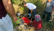 Adıyaman’da ceviz toplarken ağaçtan düştü : Yaralandı