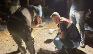 Ormanlık alanda tüyler ürperten keşif ! Hayvan otlatan çoban kafatası buldu