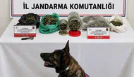 Kayseri'de uyuşturucu operasyonu : 1 tutuklu
