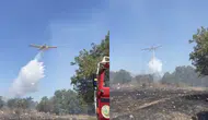 Balıkesir'de orman yangını çıktı