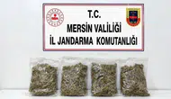 Mersin’de uyuşturucu operasyonu : 2 kilo 100 gram esrar ele geçirildi