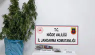 Niğde'de 278 gram uyuşturucu ele geçirildi