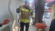 Antakya'da eve giren yılan itfaiye ekiplerince yakalanarak doğaya bırakıldı