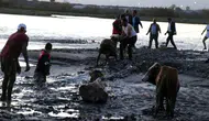 Gebze’de bataklığa saplanan 2 büyükbaş hayvan kurtarıldı