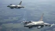 Litvanya'da NATO jetlerini havalandıran İHA alarmı kuş sürüsü çıktı
