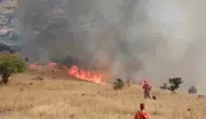 Nazımiye'de orman yangını: Havadan ve karadan müdahale başlatıldı
