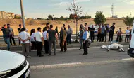 Yola aniden çıkan hayvan faciaya davetiye çıkardı