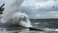 Batı Karadeniz ve Kuzey Ege için fırtına uyarısı