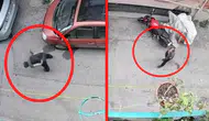 Bursa'da akılalmaz vahşet : Kucağındaki kediyi önce sıktı, sonra yere vurdu !