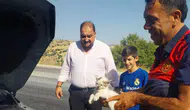 Adıyaman Besni'de kedi otomobilde sıkıştı