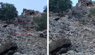 Diyarbakır'da nesli koruma altındaki dağ keçileri görüntülendi