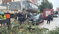 Kocaeli'de park halindeki cipin üzerine ağaç devrildi