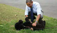 Obama ailesi patili dostunu kaybetti