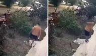 İzmir’de yavrularının yanındaki kediye tekme attı : 13 bin TL ceza kesildi
