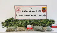 Alanya'da uyuşturucu baskını : 24 kök kenevir ve 2 kilo 642 gram esrar ele geçirildi
