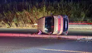 Aydın'da önüne çıkan domuza çarpmamak için manevra yapan ticari araç takla attı