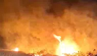 Denizli'de alevlerin arasında kalan at son anda kurtarıldı