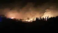 Antalya Serik'te orman yangını felaketi : Evler ve seralar kül oldu