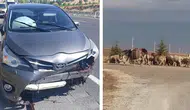 Eskişehir'de yola fırlayan koyuna çarpan otomobil kaza yaptı