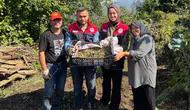 Düzce'de alternatif tarım atağı : Yığılca'da salep dikimi başladı