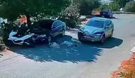 Bodrum’da tepki çeken olay : Otomobil iki köpeğin üzerinden geçti