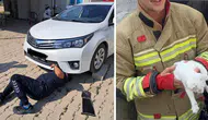 Hatay'da araç motoruna giren 2 kedi itfaiye ekiplerince kurtarıldı