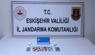 Eskişehir’de yolcu otobüsünde uyuşturucu operasyonu : 128 hap ele geçirildi