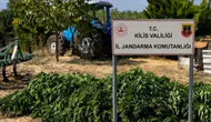 Kilis'te jandarmadan uyuşturucu operasyonu: 40 kilo 500 gram kubar esrar ele geçirildi