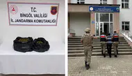 Bingöl'de jandarmadan uyuşturucu operasyonu : 19 bin 314 kök kenevir ele geçirildi
