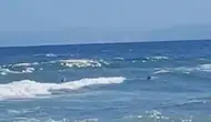 Tekirdağ'da 4 arkadaş denizde boğulma tehlikesi geçirdi