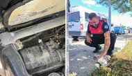 Erzincan’da aracın motorunda mahsur kalan yavru kedi kurtarıldı