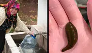 Çorum'da su içerken boğazına canlı sülük kaçan öğretmenin yaşadığı korkunç olay