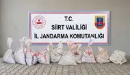 Siirt'te 300 kilo fıstık hırsızlığı