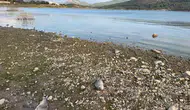 Çanakkale'de Ayvacık Barajı'nda toplu balık ölümleriyle ilgili inceleme başlatıldı