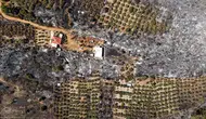 Antalya'daki orman yangını 67,5 saat sonra kontrol altında