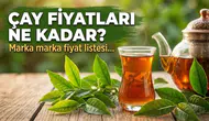 Kuru çay fiyatları neden bu kadar yükseldi? 1 kilogram çay 300 TL'yi aştı