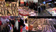 Karadeniz'de Palamut Bolluğu Son Buldu mu? Balıkçıların Gözdesi Hamsi Ne Zaman Geliyor?
